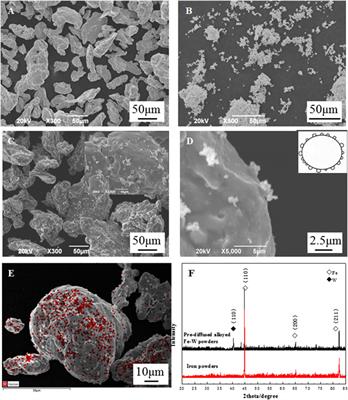 Microstructure and Property of Sintered Fe-2Cu-0.8C-0.6Mo-2W Materials Prepared From Prediffused Powders